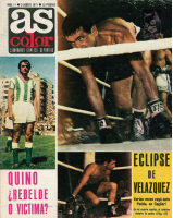 AS Color Nº 11.pdf